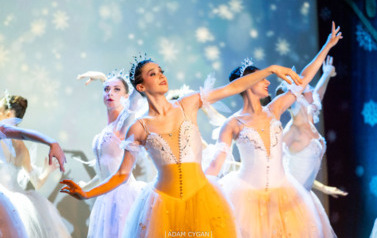 20260110-IMG_0170