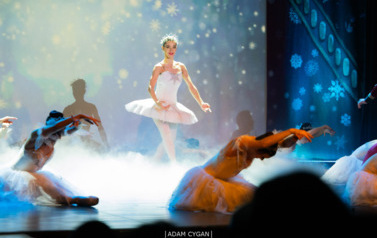 20260110-IMG_0146