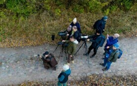 20241020-DJI_0825