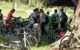 20250614-IMG_7202