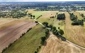 dji_fly_20250822_094654_0623_1755853941799_photo