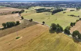 dji_fly_20250822_094556_0621_1755853961193_photo