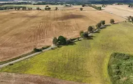 dji_fly_20250822_094518_0619_1755854000614_photo