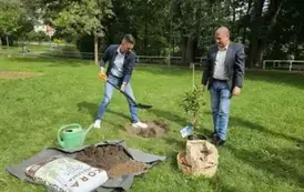 20250912_122737 (Copy)