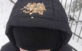 IMG-20260130-WA0001