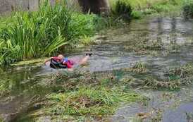 IMG-20210729-WA0010