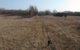 DJI_0875