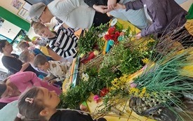 20220405_szkoła_palmy (5)