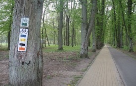 2022_05_06_szlaki_znakowanie  (7)