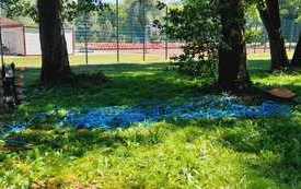 IMG-20220623-WA0023