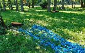 IMG-20220623-WA0022