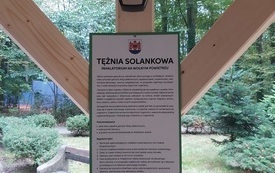 tężnia (2)