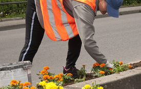 20210517_nasadzenia_05