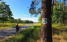 znakowanie_szlak&oacute;w_rowerowych_2023 (1)