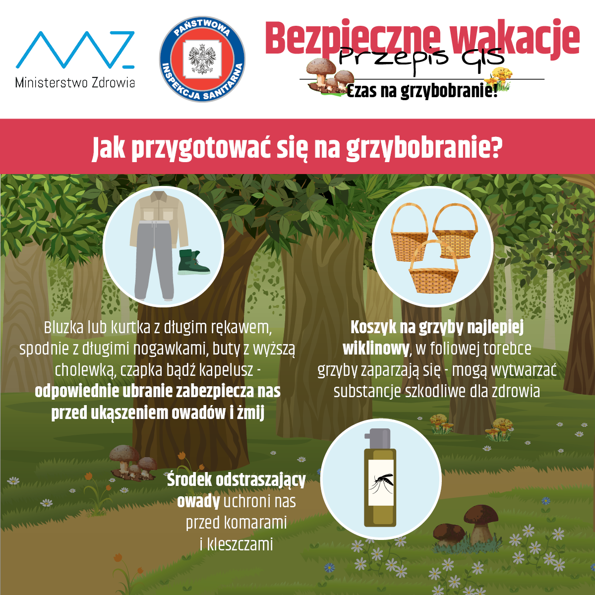 Sezon grzybowy Sezon grzybowy
