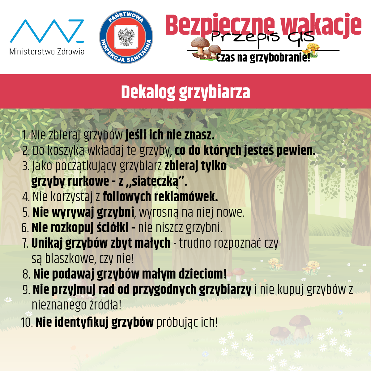 Sezon grzybowy