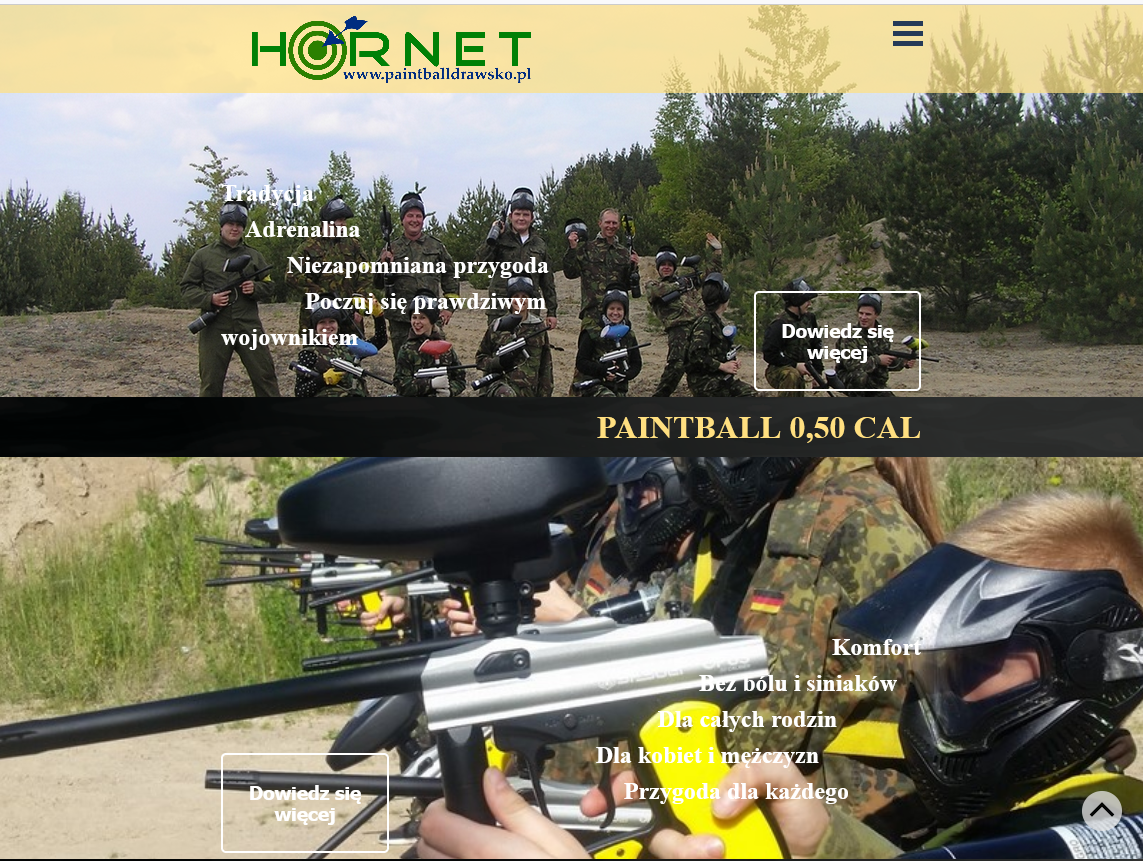 reklama,hornet,usługi,paint bal