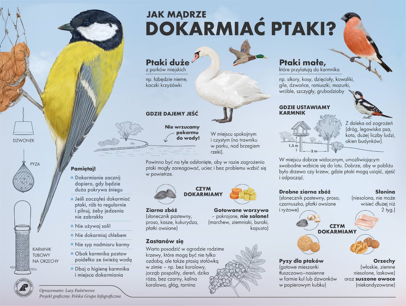 Jak dokarmiać ptaki?
