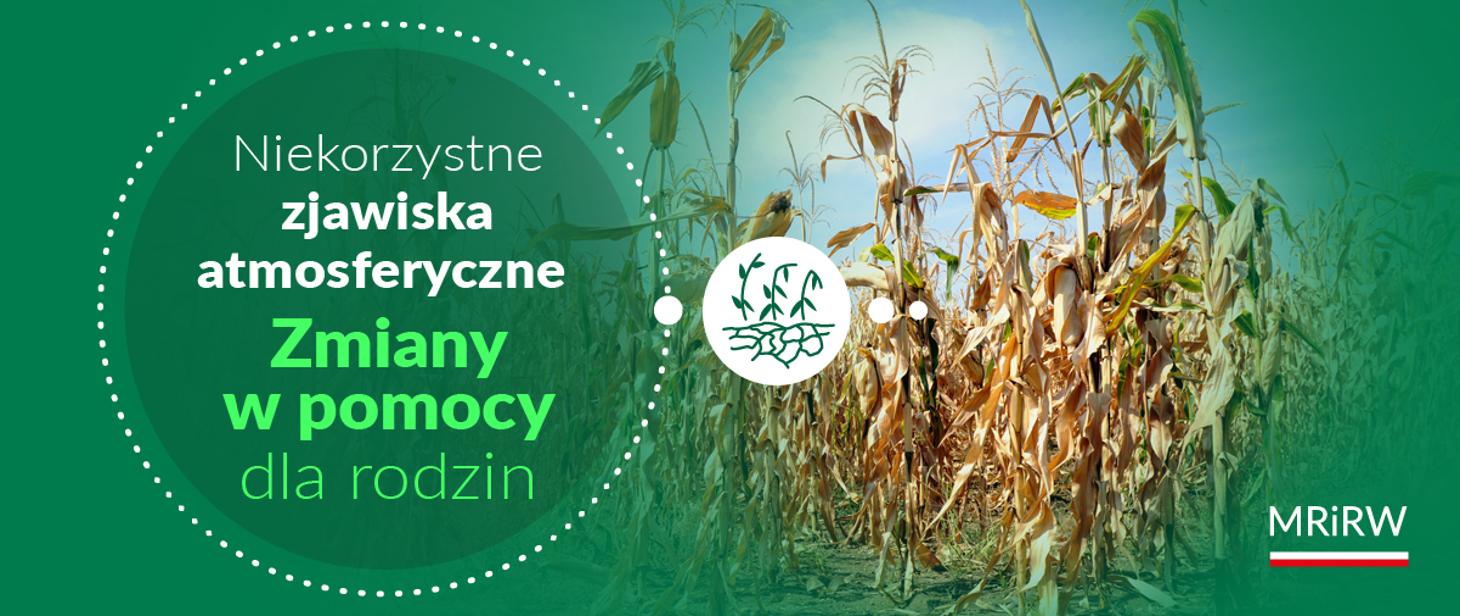 https://www.gov.pl/web/rolnictwo/pomoc-kleskowa-dla-rodzin--wnioski-do-23-listopada