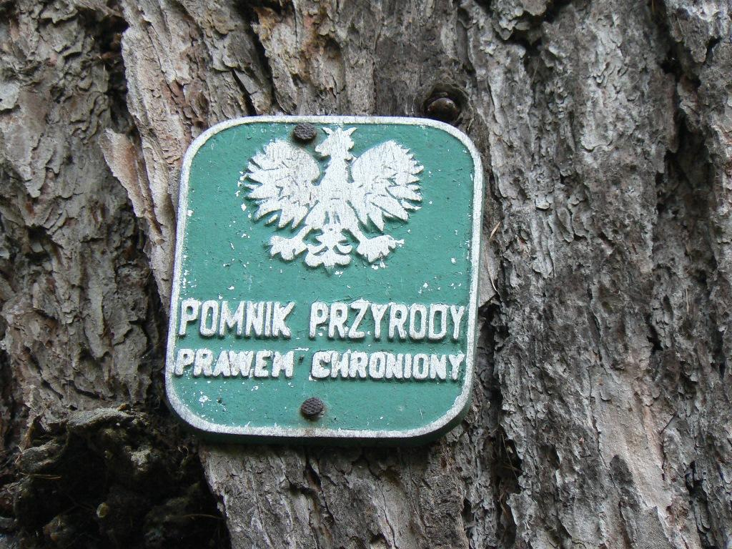 pomnik pomnik
