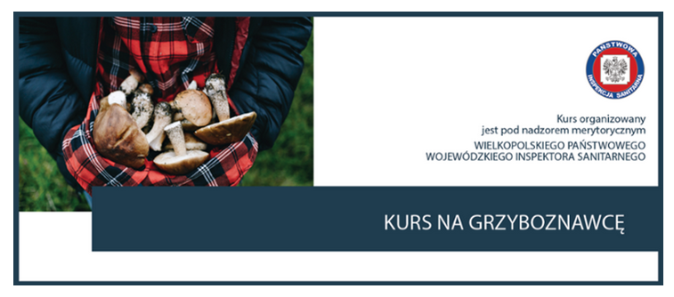 grzyby,kurs,informacja