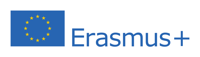 program.erasmus,szkolenie