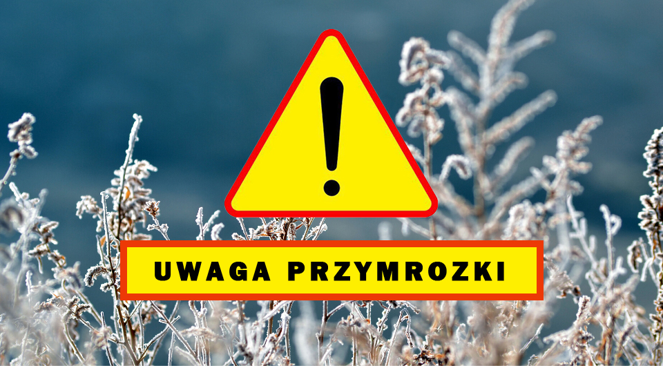 20240417_przymrozki