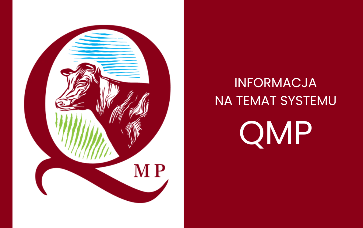 20250522_qmp
