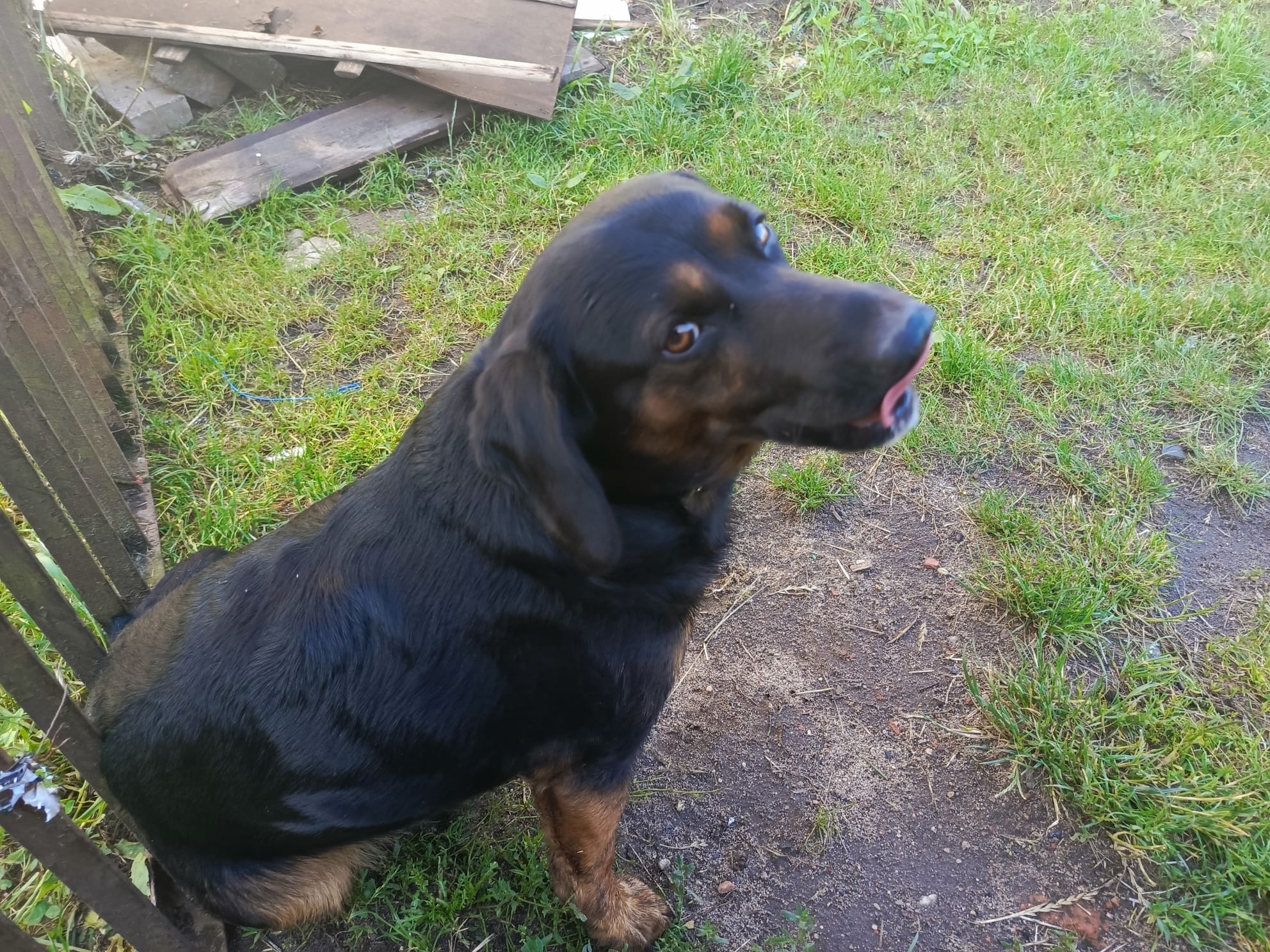 IMG-20250716-WA0012