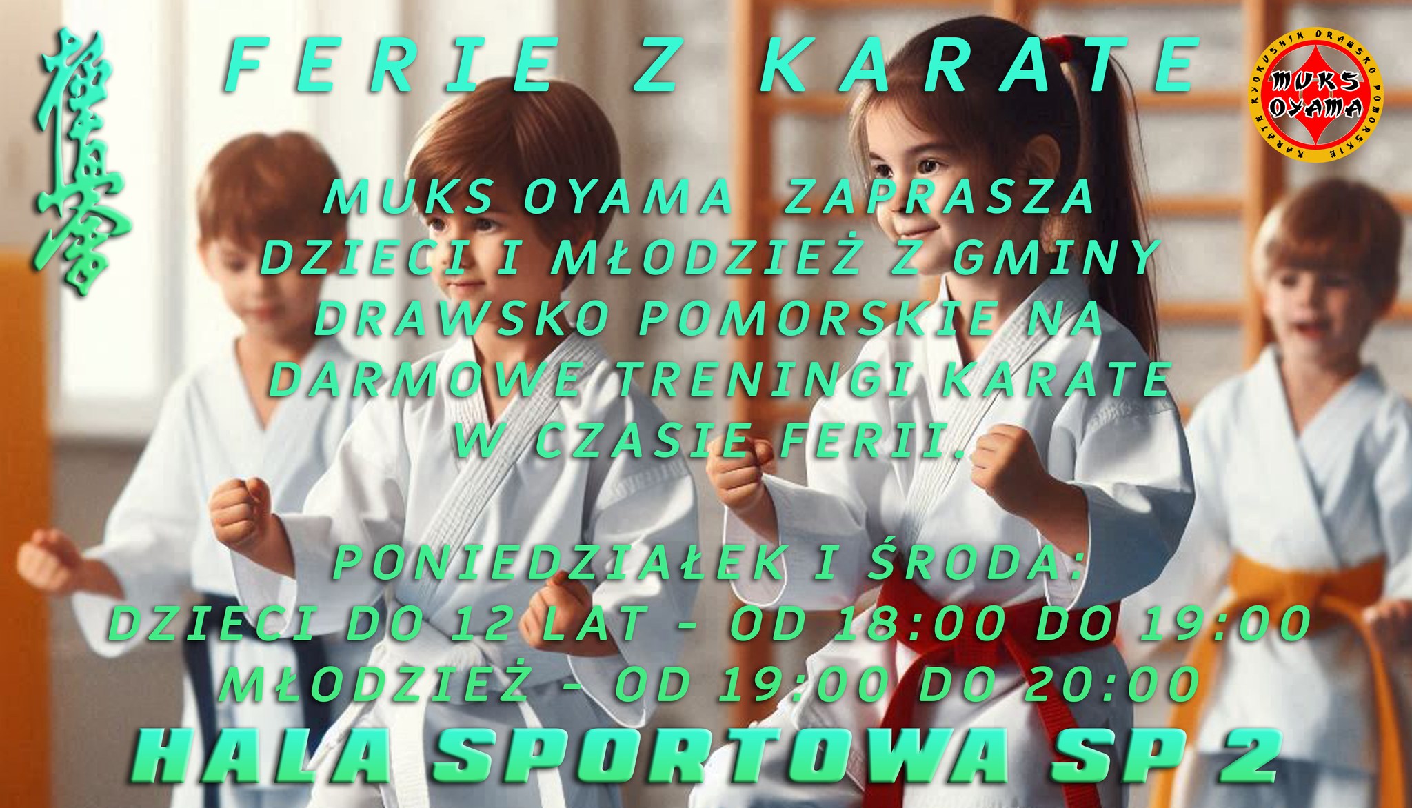 plakat_karate
