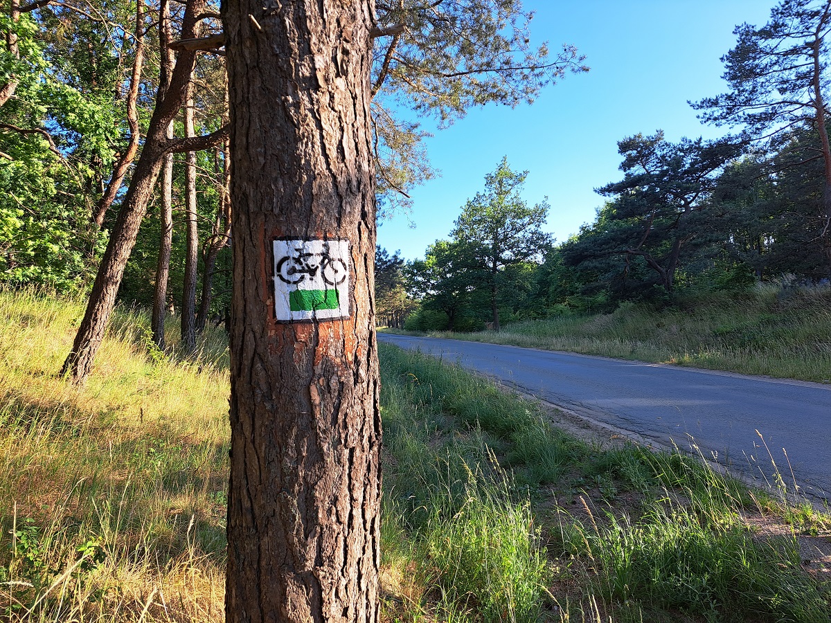 znakowanie_szlak&oacute;w_rowerowych_2023_(5)