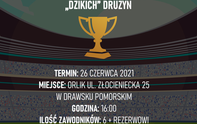 Zdjęcie do Zapraszamy na Turniej Dzikich Drużyn