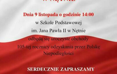 Zdjęcie do Święto Niepodległości w Szkole Podstawowej w Nętnie