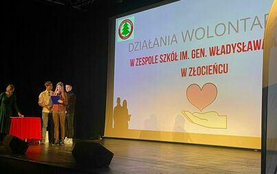 Zdjęcie do Młodzieżowe Forum Wolontariatu w Powiecie Drawskim