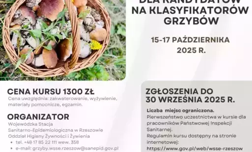 Zdjęcie do Kurs na klasyfikatora grzyb&oacute;w - październik 2025