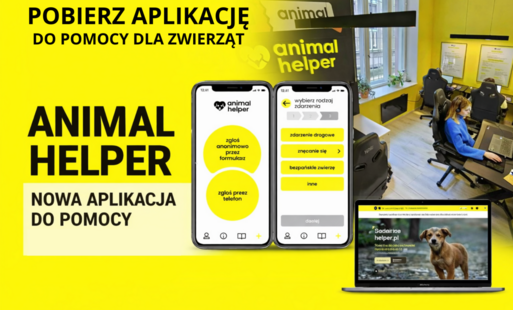Zdjęcie do Animal Helper &mdash; nowa aplikacja, kt&oacute;ra ułatwia pomoc porzuconym zwierzętom