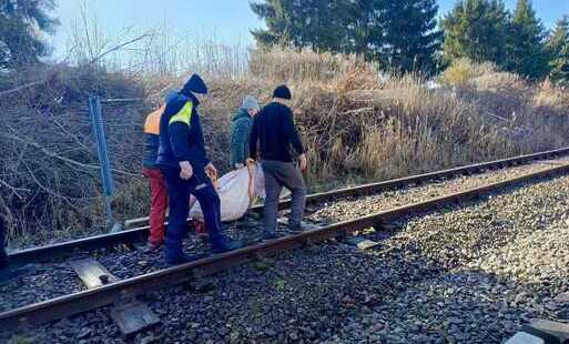 Zdjęcie do Pies potrącony przez pociąg w rejonie tor&oacute;w. Szybka reakcja służb