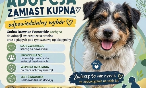 Zdjęcie do Odmień jedno życie - Adoptuj, nie kupuj! 