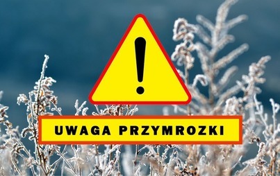 Zdjęcie do Uwaga na przymrozki