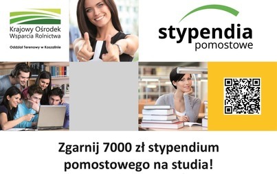 Zdjęcie do Wystartowała nowa edycja Stypendi&oacute;w Pomostowych 