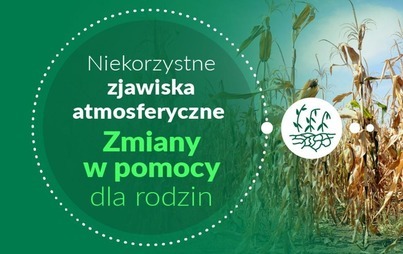 Zdjęcie do Pomoc klęskowa dla rodzin &ndash; wnioski do 23 listopada