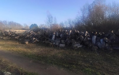 Zdjęcie do Uwaga aktualizacja!!! Przetarg publiczny na sprzedaż drewna opałowego mieszanego