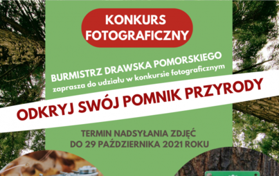 Zdjęcie do Przypominamy o trwającym konkursie fotograficznym "Odkryj sw&oacute;j pomnik przyrody"