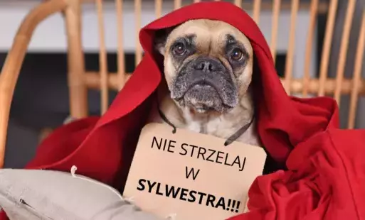 Zdjęcie do Pomyśl zanim strzelisz!