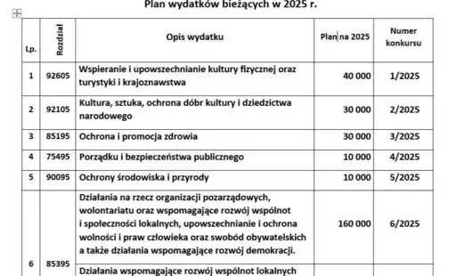 Zdjęcie do Spotkanie dotyczące otwartych konkurs&oacute;w ofert w 2025 r.