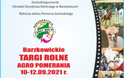 Zdjęcie do Konkurs na najładniejszy wieniec dożynkowy