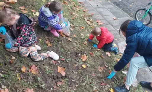 Zdjęcie do Sadzenie krokus&oacute;w w Przytoniu