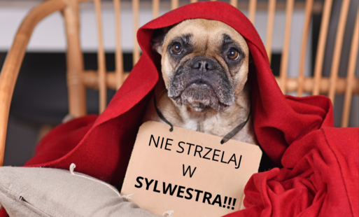Zdjęcie do Apel do mieszkańc&oacute;w