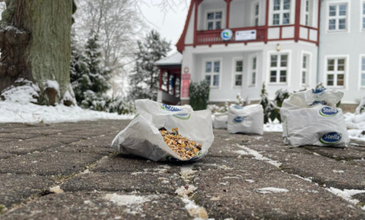 Zdjęcie do Śniadanie dla ptak&oacute;w