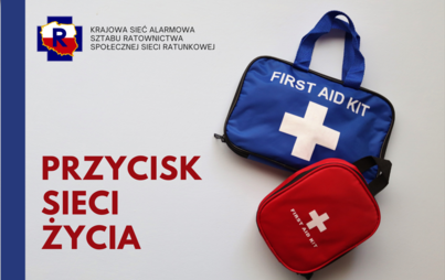 Zdjęcie do Przycisk Sieci Życia: mała rzecz - wielka sprawa! 
